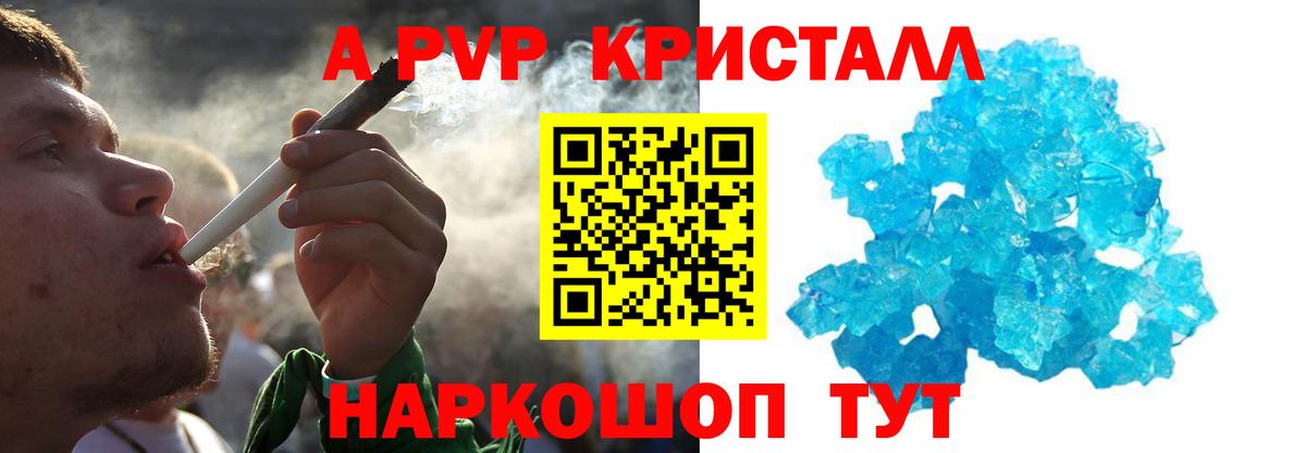Alfa_PVP СК КРИС Курчалой