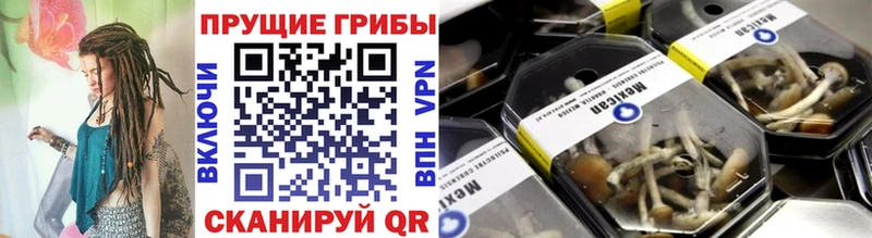 Галлюциногенные грибы прущие грибы  купить   Курчалой 
