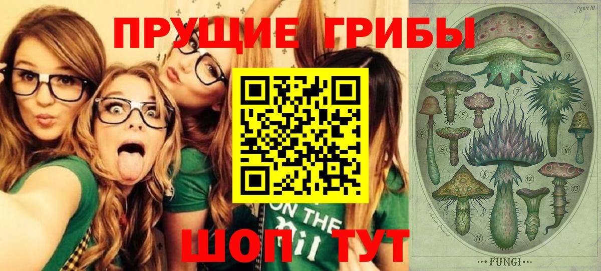 цены наркотик  Вход с VPN  Курчалой  Галлюциногенные грибы мицелий 