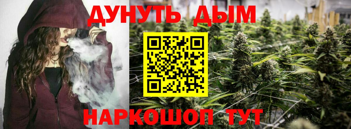 Канабис ГИДРОПОН Курчалой