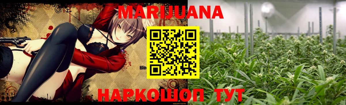 Марихуана гибрид  Бошки Шишки VHQ  Курчалой  Вход с VPN 